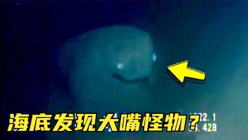 11件令人难以置信的事，海底拍摄到大嘴怪物，原来是石头和海绵？