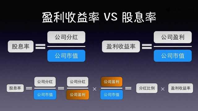 课时34.股息率是什么?盈利收益率是什么?