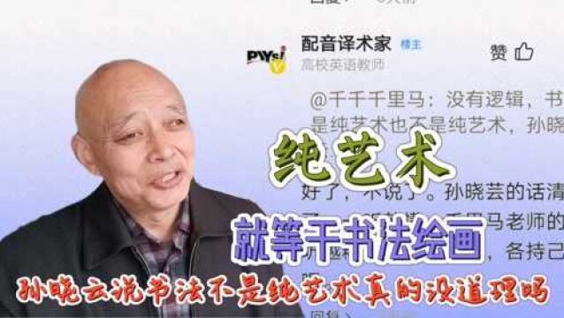 孙晓云到底想说书法是个啥?纯艺术就等于书法是绘画雕塑了