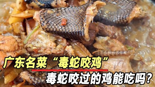 广东人爱吃的“毒蛇咬鸡”，被毒蛇咬的鸡能吃吗？看完明白了