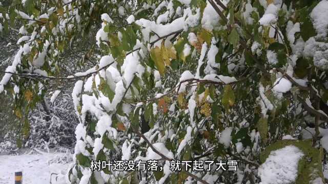 北京下大雪了