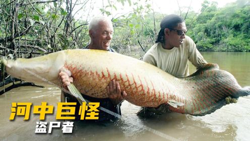 河中巨怪，杰叔前往圭亚那，调查人鱼袭击渔民事件真相