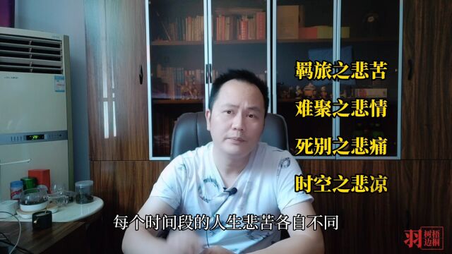 最无力悲伤的诗句“不许人间见白头”