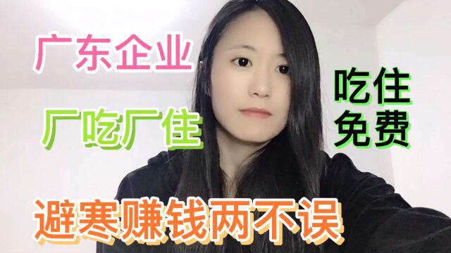 四季如春的广东企业,吃住免费,还厂吃厂住!