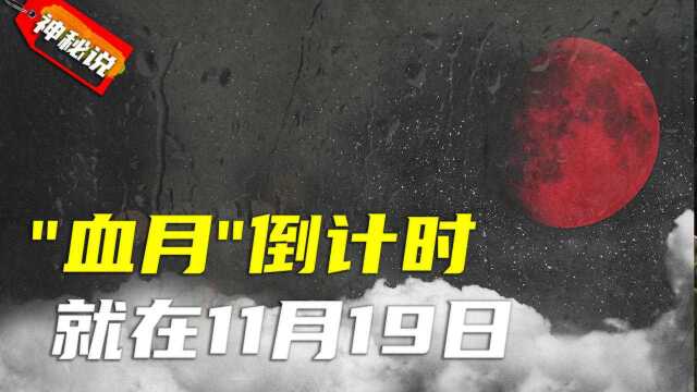 天文奇观“超级血月”再次现身,倒计时已经开始,就在11发生?