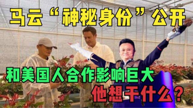 马云神秘身份曝光,和美国人合作影响巨大,他想干什么?