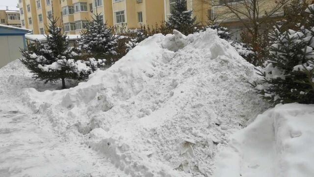 东北猫冬生活方式开始了,外面下大雪屋里喝酒吃肉,小生活太美了