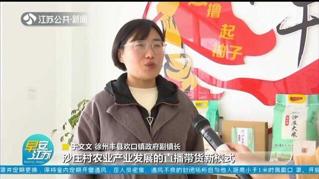 徐州丰县:村干部变身“主播” 直播间推销农副产品