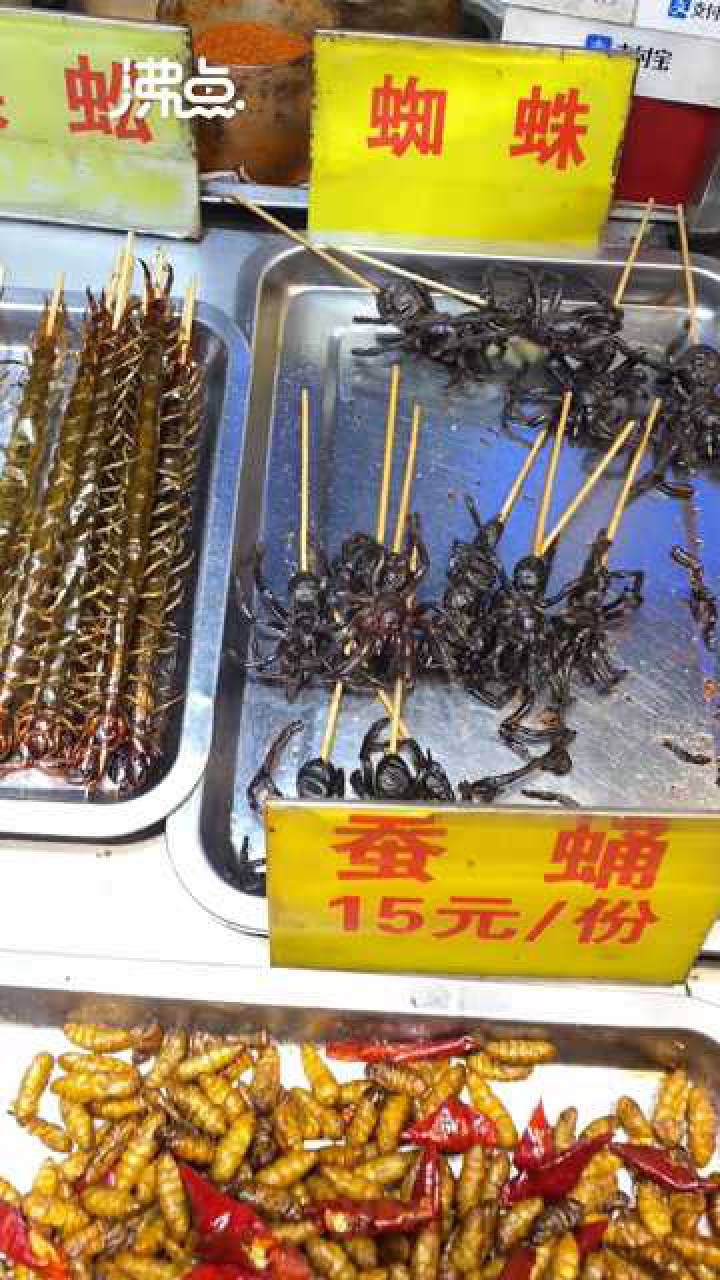 外地人逛南宁夜市看到蜈蚣蝎子蜘蛛震惊:接受不了 但很好奇_腾讯视频