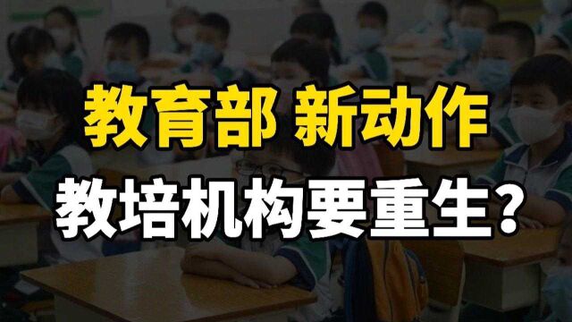 “双减”之后又添新举措,培训机构或有望“卷土重来”?