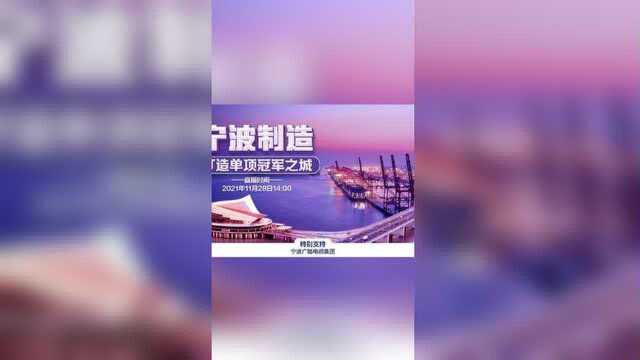 探访“宁波制造”看制造业单项冠军之城如何炼成