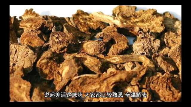 用药真谛:羌活是改善微循环的妙药