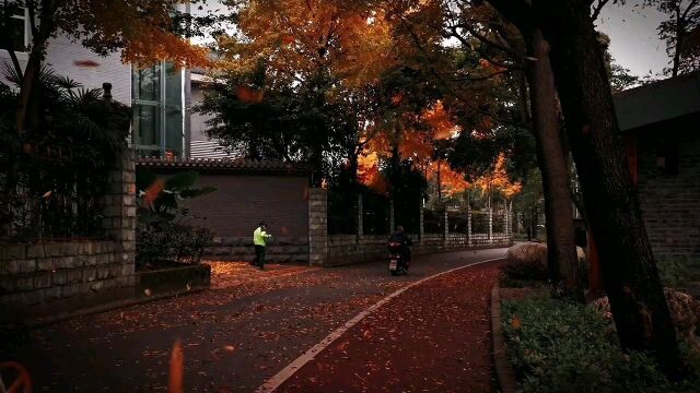 花开后花又落,轮回也没结果.苔上雪告诉我,你没归来过