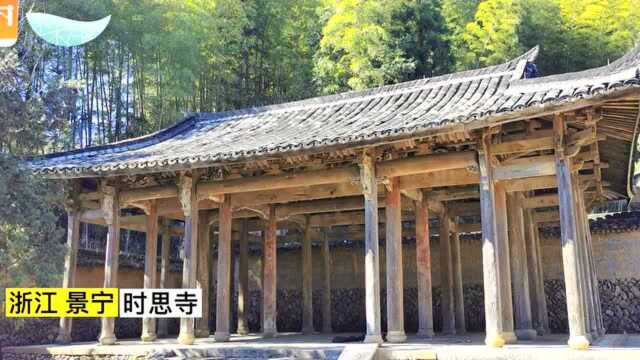 寻宋江南 | 千年柳杉王守护的景宁时思寺,元代木构古建为何能“代言”宋韵