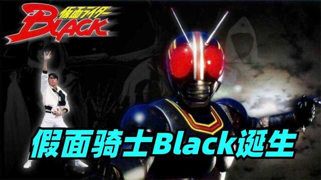 假面骑士black国语版50图片