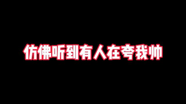 仿佛有人在夸我帅!