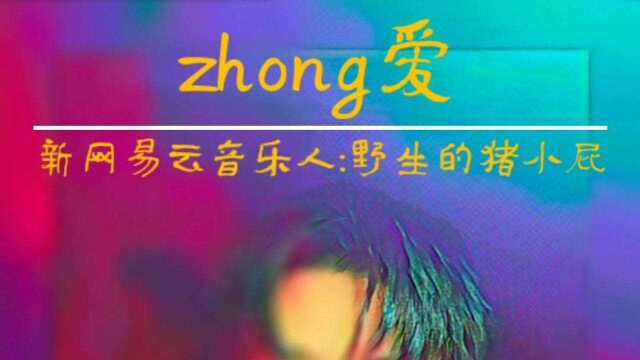 原创歌曲《zhong爱》