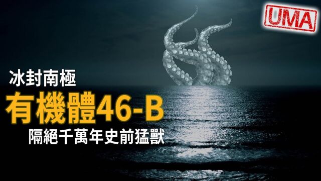 【有机体46B】冰封南极意外地发现这里存在的特殊生命