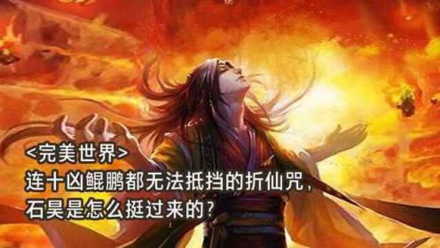 《完美世界》连十凶鲲鹏都无法抵挡的折仙咒,石昊是怎么挺过来的