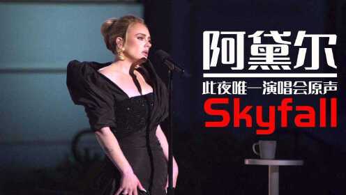 [图]阿黛尔此夜唯一演唱会 skyfall