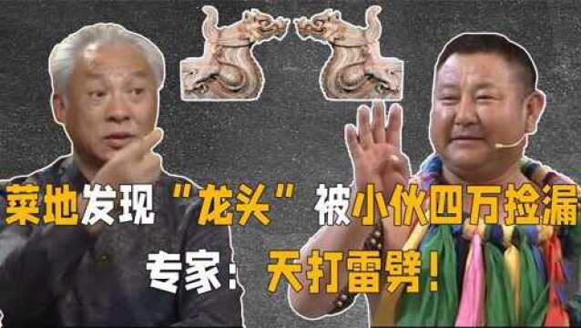 农民菜地发现两个龙头,小伙4万捡漏买来鉴宝,专家:天打雷劈!