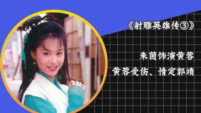 黄蓉身负重伤千里求医,与郭靖二人共结连理驻守襄阳!