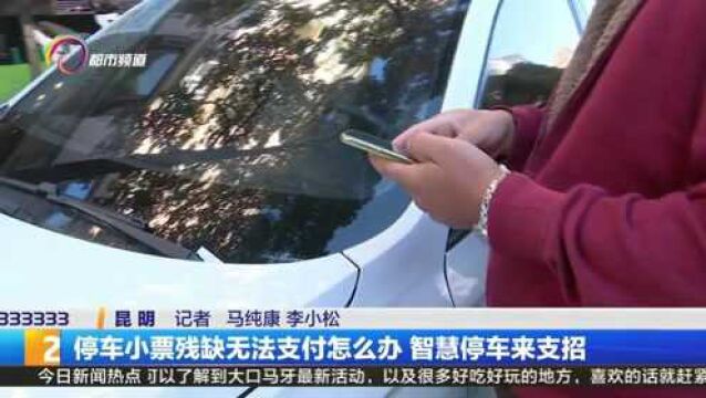 停车小票残缺无法支付怎么办 智慧停车来支招