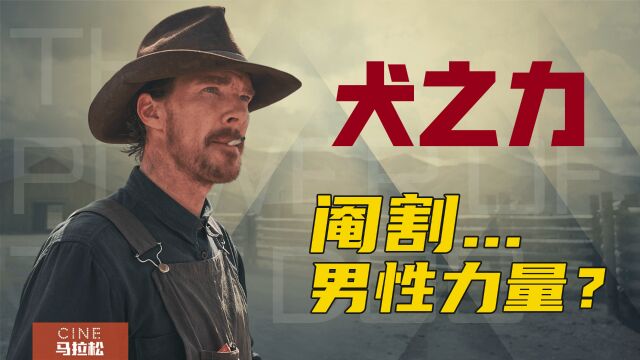 【犬之力】又好看又难看?颁奖季大热门究竟在讲什么?