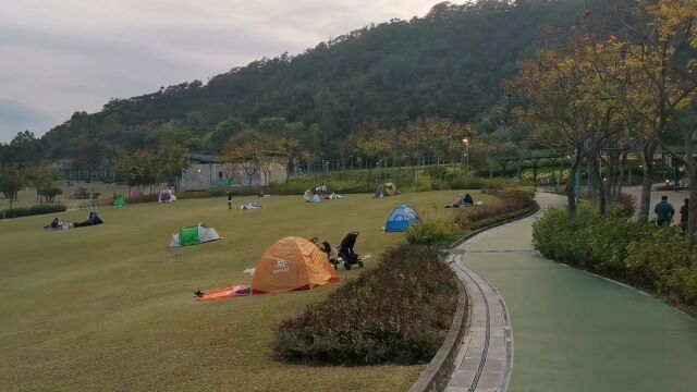 香港街头真实现状!实录于1月17日星期一中午12点,无法接受?