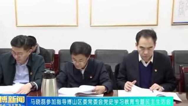 市委副书记、市长马晓磊参加指导博山区委常委会党史学习教育专题民主生活会