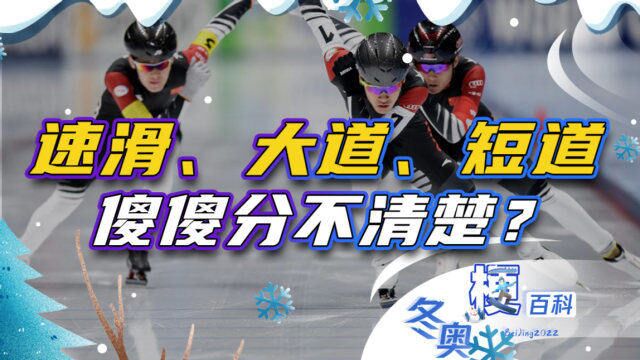 冬奥梗百科 | 速滑、大道、短道,傻傻分不清楚?看完你就明白了