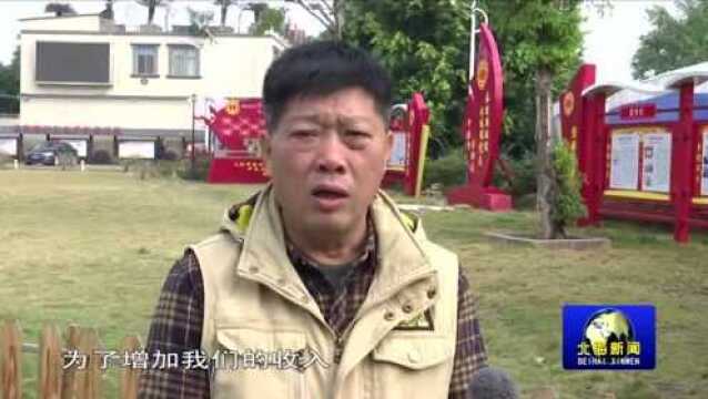 【新春走基层】石桥塘村:乡村振兴让村民过上好日子