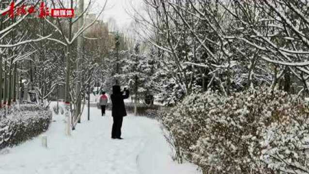 2022“初雪印象”:浪漫雪花迎新年