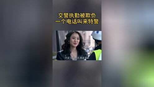 正义交警执勤，一个电话叫来特警