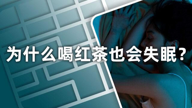 小喜年:睡眠质量差的人,晚上喝红茶行不行?听听茶学硕士如何说