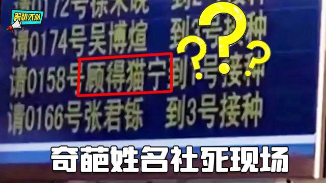 奇葩名字社死现场,爸妈起名字是怎么想的?