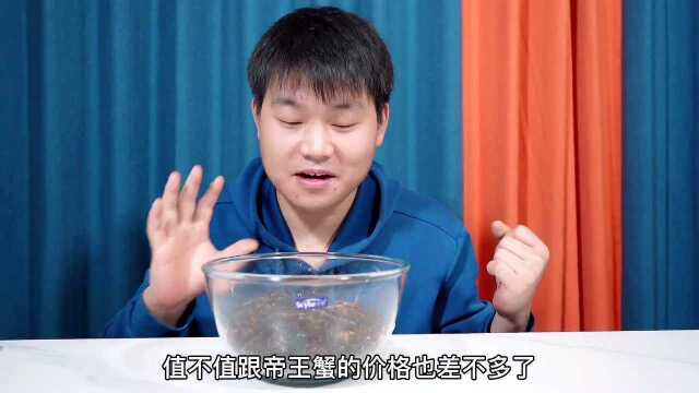 试吃200多一斤多东北小龙虾拉蛄!