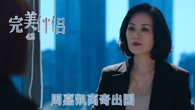 速看《完美伴侣》42:周嘉凯离奇出国