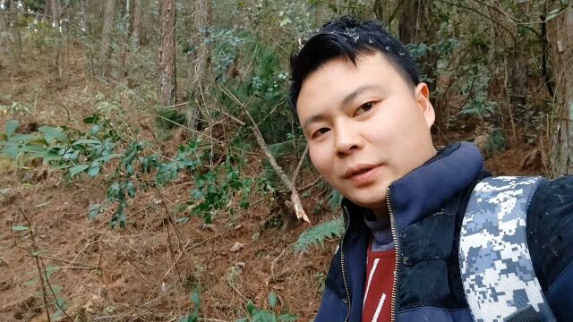 野外实拍,大山里找麂子非常简单,跟着小伙,一找一个准