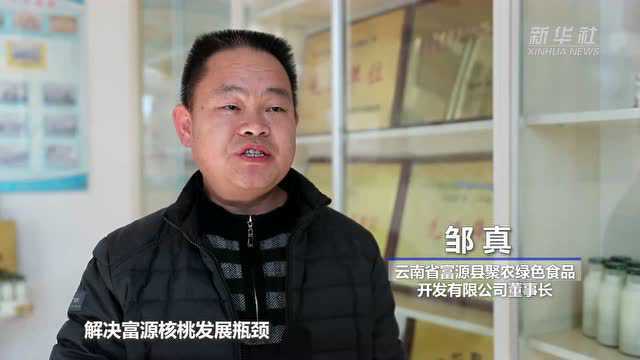 奋进新征程 建功新时代|云南富源核桃加工忙