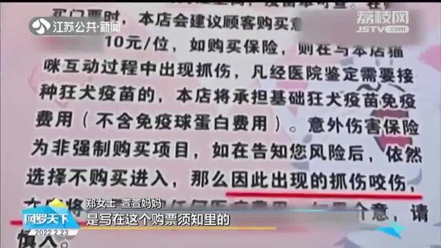 写了免责声明就能免责吗?孩子在猫咖店被咬伤挠伤 谁来担责?