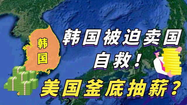  97年亚洲金融危机,韩国破产被迫卖国!欧美国家疯狂割韭菜!