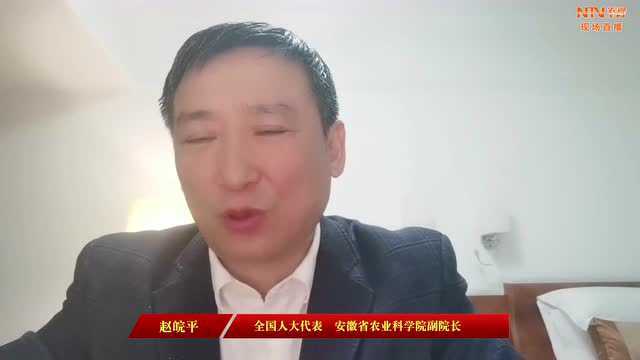 政府工作报告中的“三农”关键词有哪些?