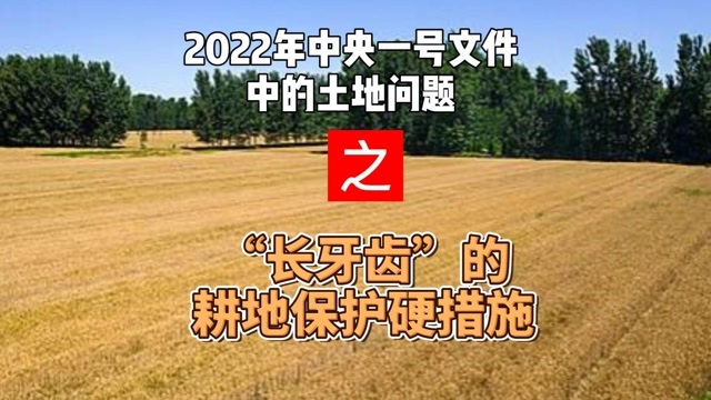 2022年中央一号文件中的土地问题长牙齿的耕地保护硬措施