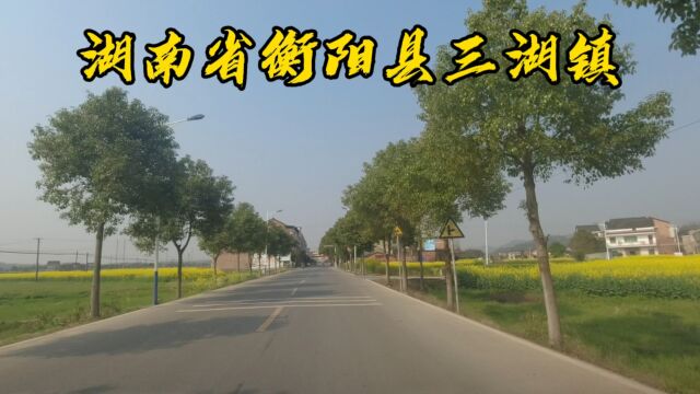 湖南省,衡阳县,一望无际的三湖镇