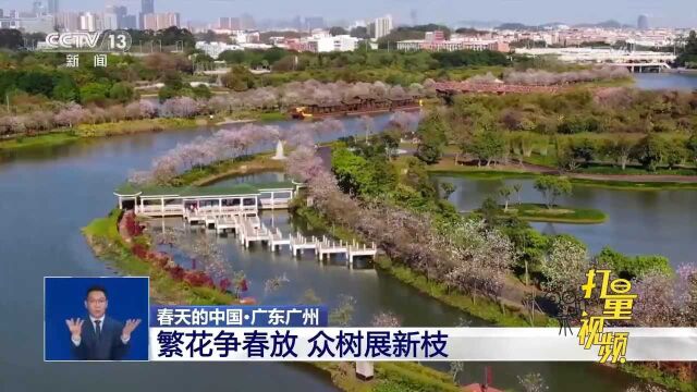 每一帧都是壁纸!走进春天,领略中华大地的绝美春色