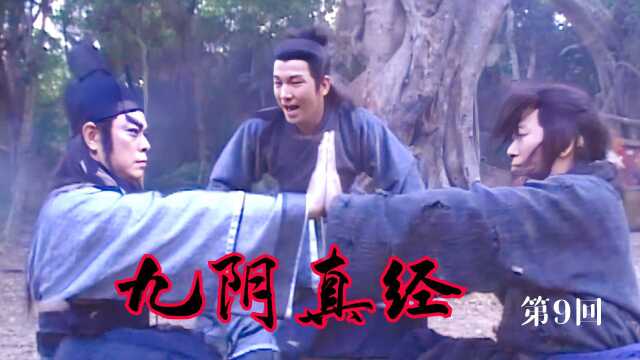 九阴真经:西毒和北丐,为了九阴真经大打出手,竟被周伯通搅合