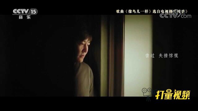 谍战剧《对手》主题曲《像鸟儿一样》,周深倾情献唱