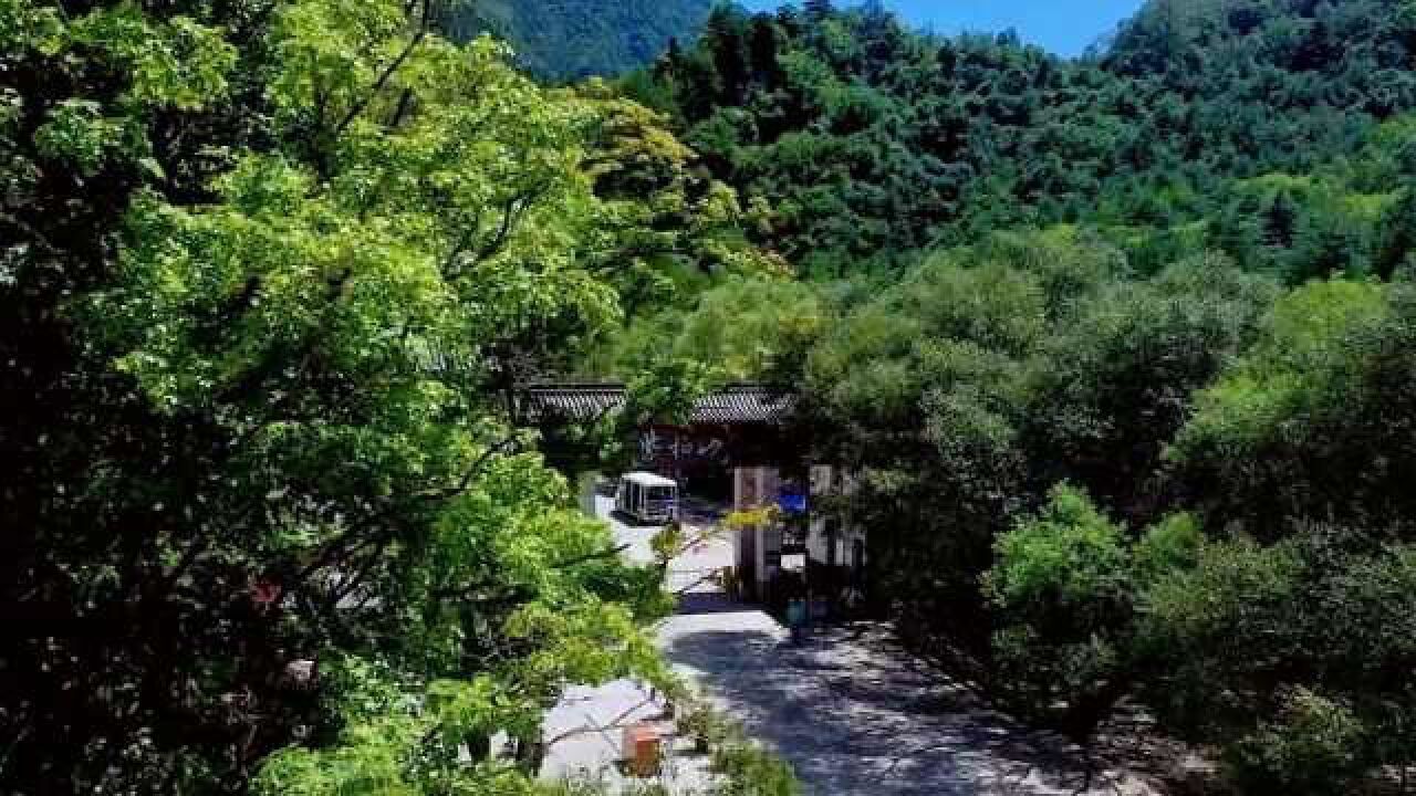 张良庙-紫柏山风景区,该景区是由张良庙,紫柏山组成