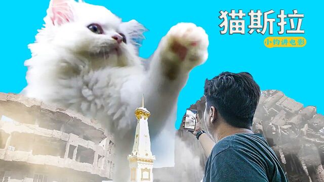 一只6层楼高的猫咪出现在了城市中,搞笑动画《猫斯拉》